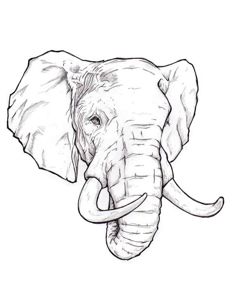 Elephant drawing, Elephant tattoos, Elephant art