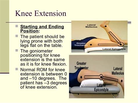 Degrees: Knee Flexion Degrees