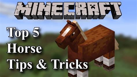 Minecraft |Top 5 | Horse Tips and Tricks - YouTube