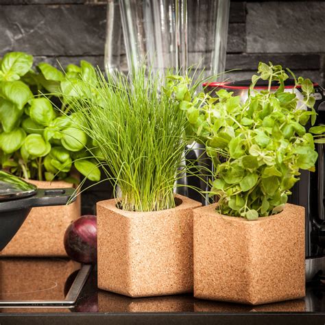 Herb Garden Kit by HerbsIn | Herb garden kit, Garden kits, Indoor herb garden