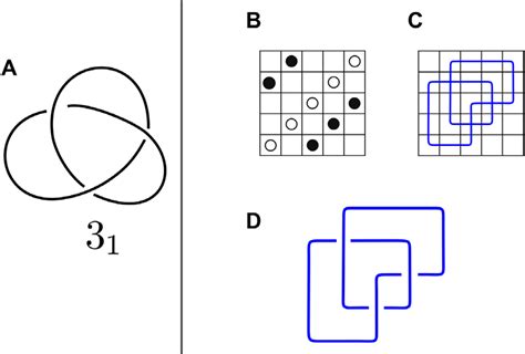 A standard knot diagram and a grid diagram of a knot. (A) Standard ...