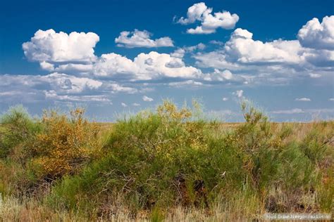 The landscapes of Kazakhstan steppe · Kazakhstan travel and tourism blog