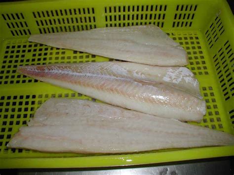 Pacific Cod Fillet - Dalian Changfeng Co. Ltd - ecplaza.net