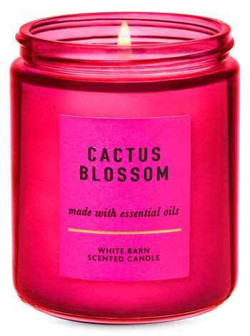 Cactus Blossom Single Wick Candle | Bath & Body Works