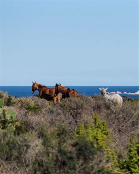 The Secrets of Sardinia’s Blue Zone | Butterfield & Robinson