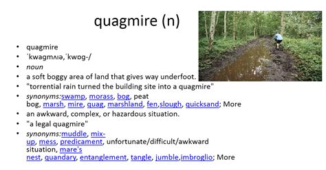 picture vocabulary: quagmire