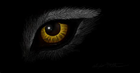 Eye of the wolf. » drawings » SketchPort