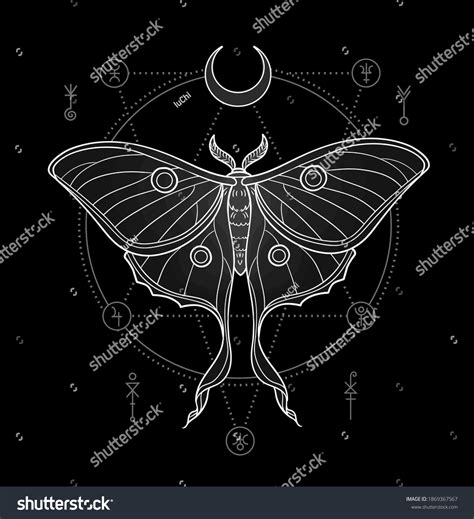 440 Luna Moth Stock Vectors, Images & Vector Art | Shutterstock