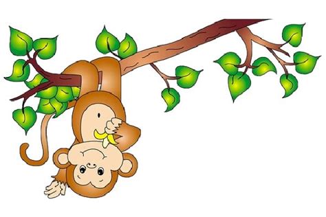 Jungle Vines - ClipArt Best