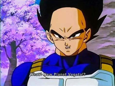 Vegeta Hairline - Explained - Dragon Ball Guru