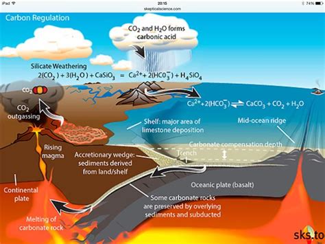 Andy Day on Twitter | Carbon cycle, Carbon sink, Cycle