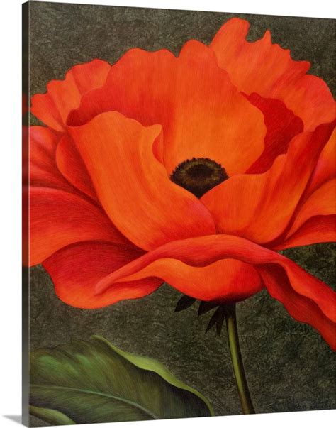 Red Poppy Wall Art, Canvas Prints, Framed Prints, Wall Peels | Great Big Canvas