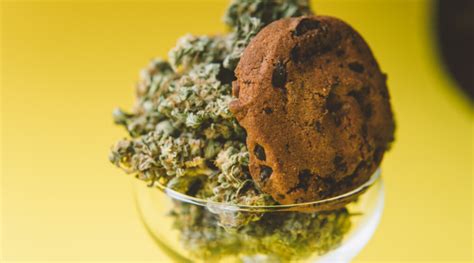 Sativa Edibles vs Indica Edibles: What is the Difference? - West Coast ...