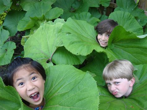 BRENDENS Garden Center: "Man - Eating" Plant Sighting...