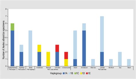 Mitochondrial haplogroups represented in the Aedes albopictus specimens ...