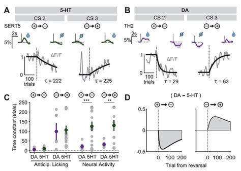 Activity patterns of serotonin neurons underlying cognitive flexibility | eLife