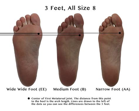 Shoe Width Chart | Wiivv