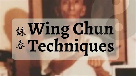 Wing Chun Techniques