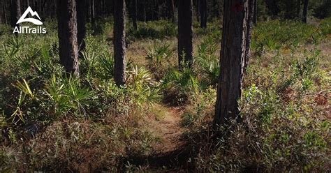 Best Trails in Pine Log State Forest - Florida | AllTrails