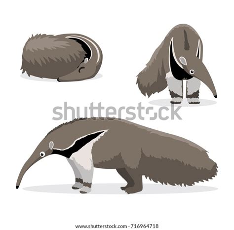 Cute Anteater Cartoon Vector Illustration Stock Vector (Royalty Free) 716964718 | Shutterstock