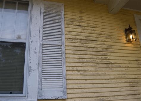 25 Homemade Vinyl Siding Cleaner Ideas