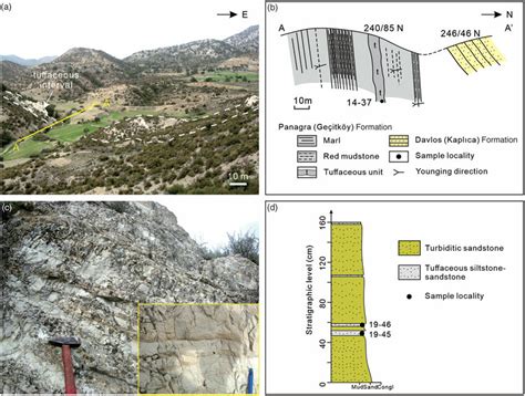 (Colour online) Field occurrences of the tuffaceous deposits in ...