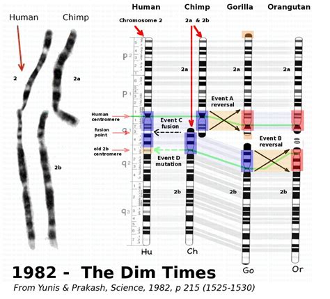 SPIRITUALITY SCIENCE – HUMAN EVOLUTION – Bhavanajagat