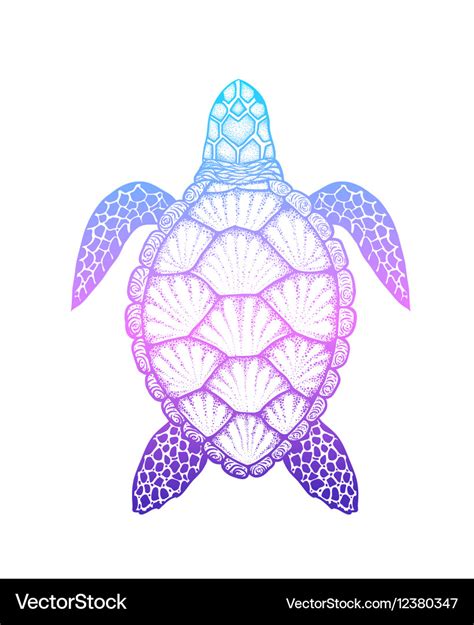 Sea Turtle Drawing