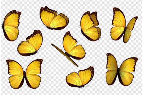 yellow butterflies on a transparent background