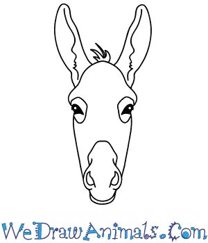 How to Draw a Donkey Face