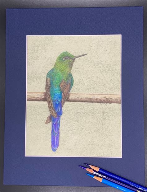 Original Hummingbird Colored Pencil Drawing, Mounted and Matted - Etsy