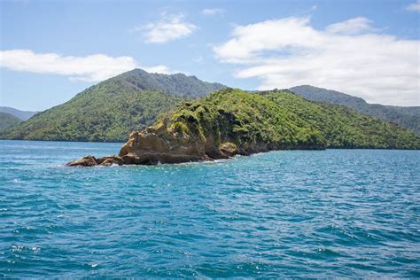 Marlborough Sounds Cruise - Everything you need to know