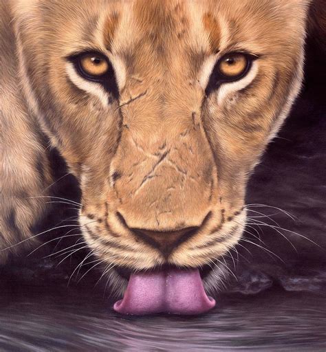 African Lioness Face Painting by Rachel Stribbling