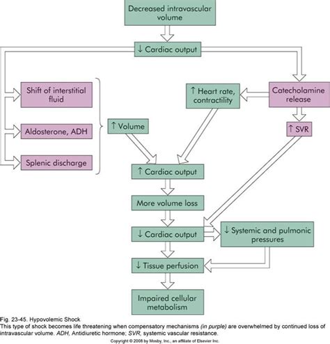 Hypovolemic Shock Chart