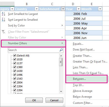 Filter a range of data - Excel