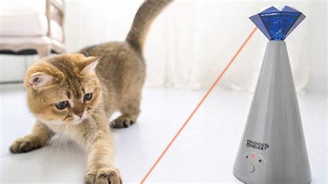 Cat Laser Toys | 11 Laser Toys for Your Kitty's Favorite Workout