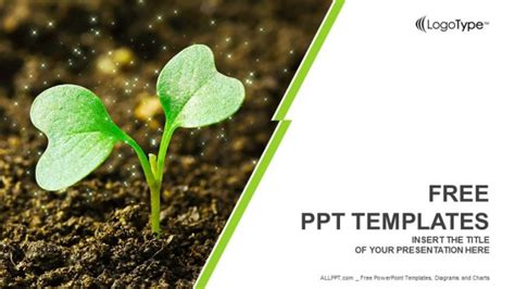 Young plant sprouting PowerPoint Templates