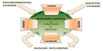 Natural Capital - Assignment Point