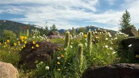 Musical destination: Tromso, Norway - BBC Travel