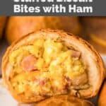 Dunkin Donuts Stuffed Biscuit Bites with Ham - CopyKat Recipes