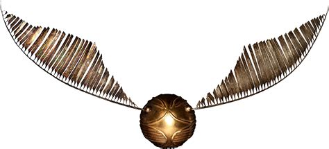 Golden Snitch Harry Potter Wiki Fandom Powered By Wikia - Quidditch Broom Harry Potter Clipart ...