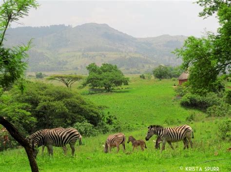 South Africa trip journal: Mlilwane Wildlife Sanctuary in Swaziland | Swaziland travel, Wildlife ...