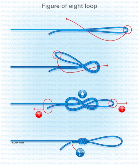 Carp fishing knots : Figure of eight loop | Fishing knots, Knots ...