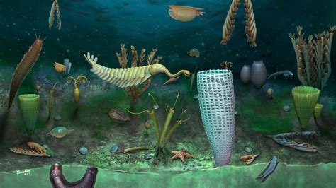 Unprecedented 462-million-year-old fossils have been found in Wales