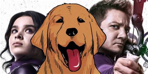 Hawkeye's Pizza Dog Needs His Own Series | Screen Rant