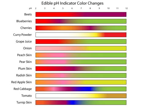 Edible pH Indicators Color Chart