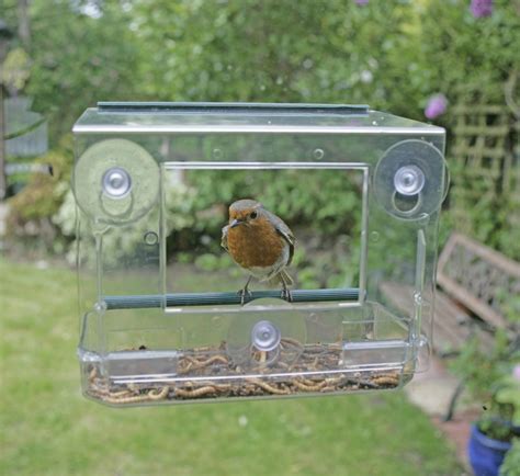 RSPB Window Mounted Feeder | Burleydam Garden Centre