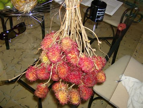 Pioneering Abroad: Ah, Mamon Chino (aka Rambutan)