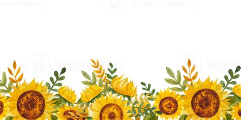 Watercolor sunflowers frame 11660734 PNG