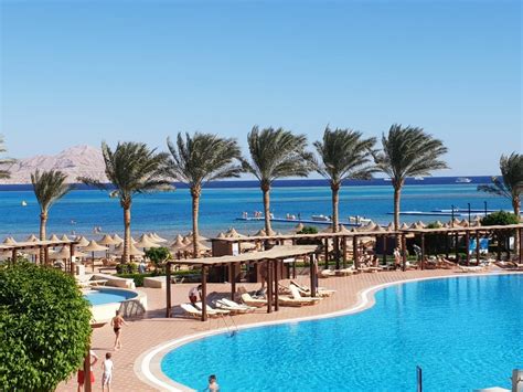 "Ausblick" Jaz Belvedere Resort (Shark Bay) • HolidayCheck (Sharm el ...